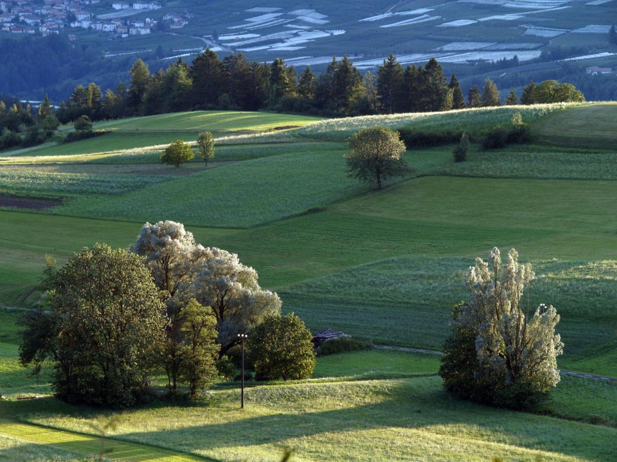 Casa Pradiei Dolomiti View 卡瓦雷诺 外观 照片